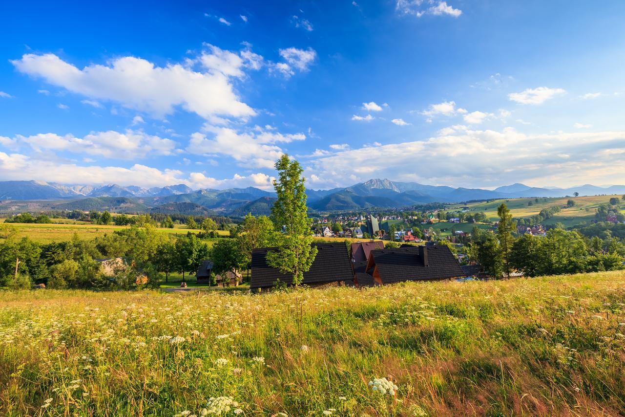 Domki Tatrzanski Ogrod Regional Houses Закопане Екстер'єр фото