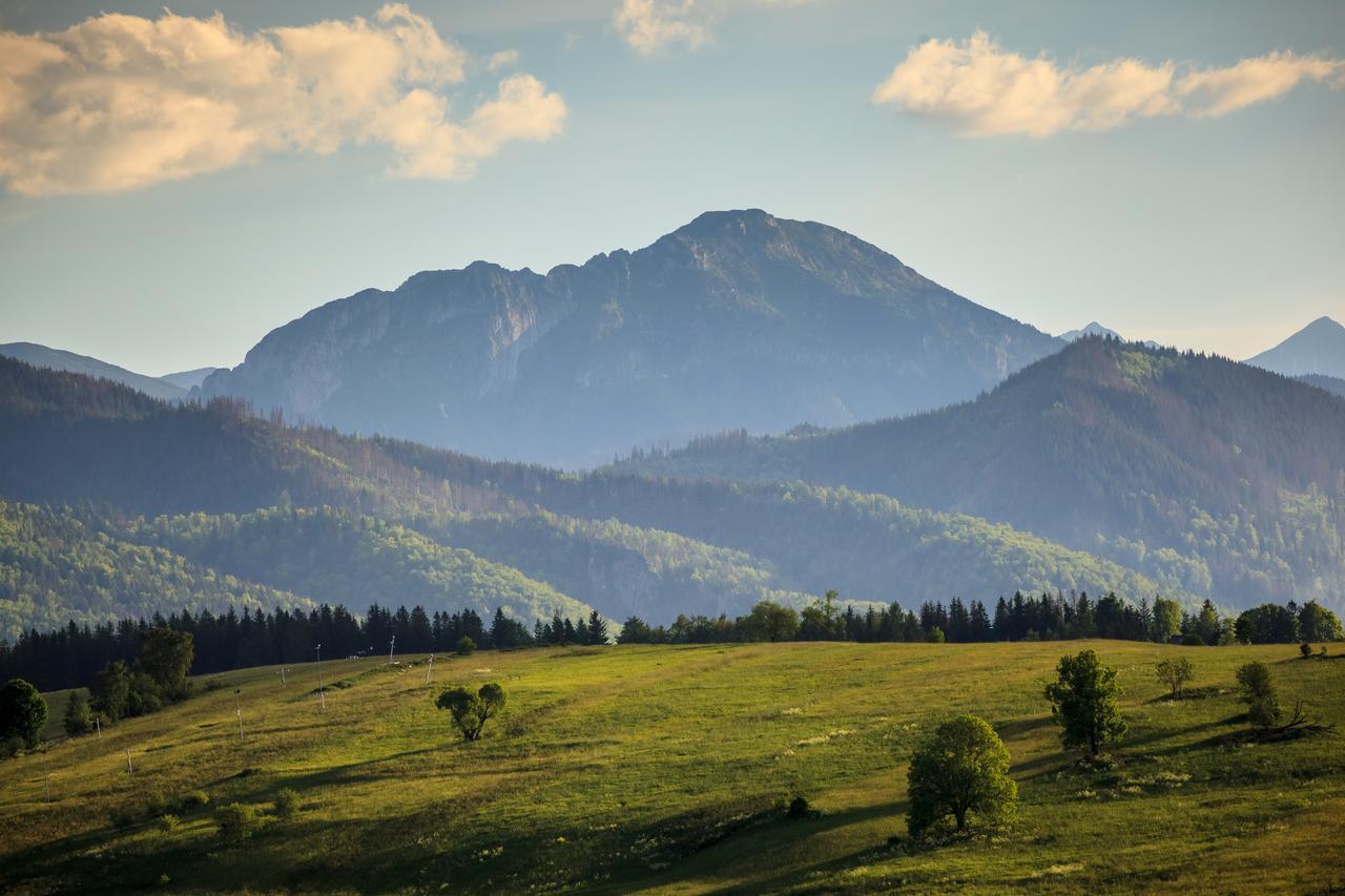 Domki Tatrzanski Ogrod Regional Houses Закопане Екстер'єр фото